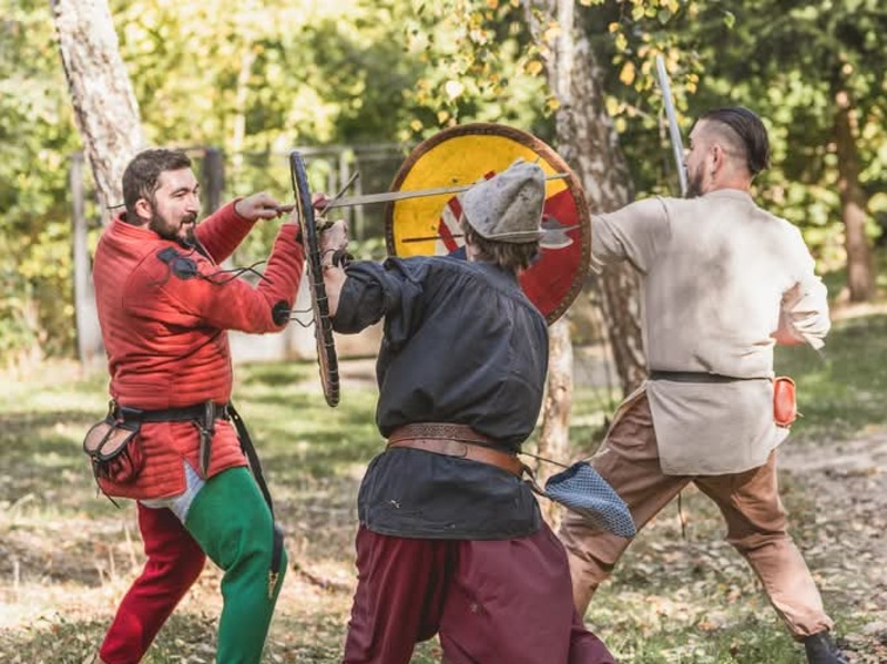Fights in Bistrita's forests