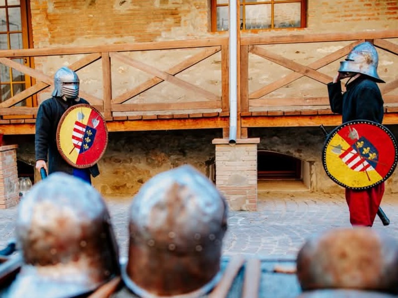 Arms and Armours Fagaras